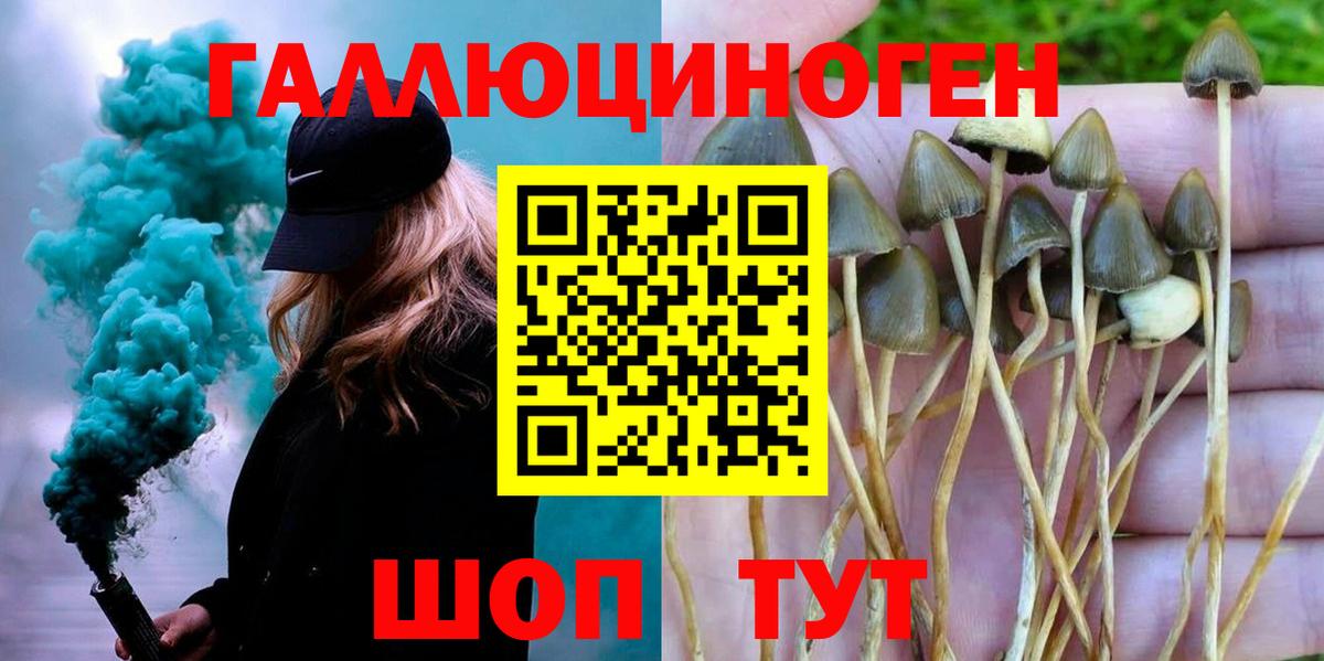 Псилоцибиновые грибы Psilocybine cubensis Черкесск
